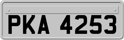 PKA4253