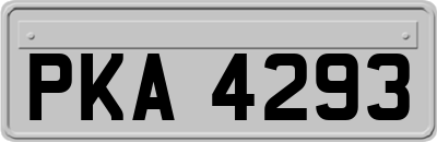 PKA4293