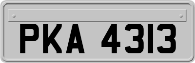 PKA4313