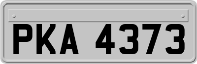 PKA4373