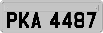 PKA4487