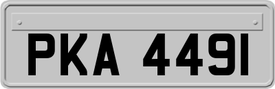 PKA4491