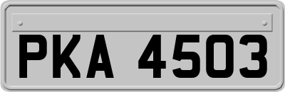 PKA4503