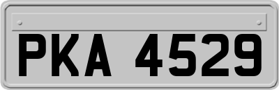 PKA4529