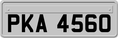 PKA4560
