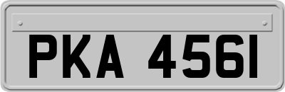 PKA4561