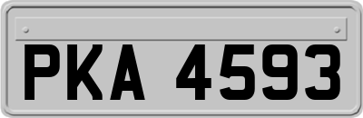 PKA4593