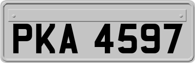 PKA4597