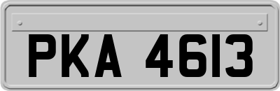 PKA4613
