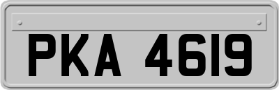 PKA4619