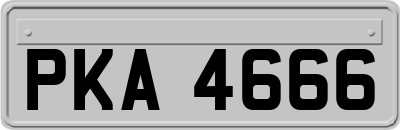 PKA4666