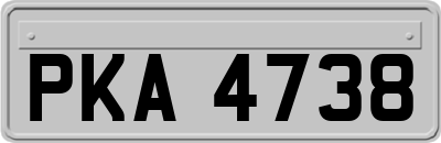 PKA4738
