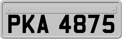 PKA4875