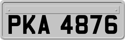 PKA4876
