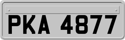 PKA4877