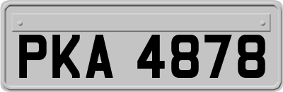PKA4878