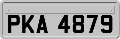 PKA4879