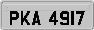 PKA4917