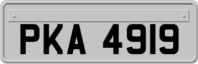 PKA4919