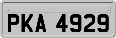 PKA4929