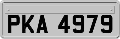 PKA4979