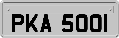 PKA5001