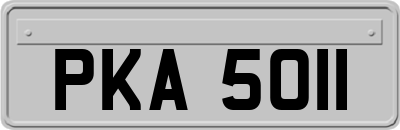 PKA5011