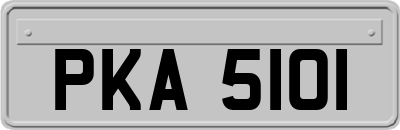 PKA5101