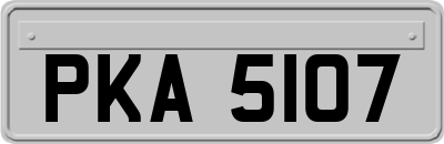 PKA5107