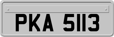 PKA5113
