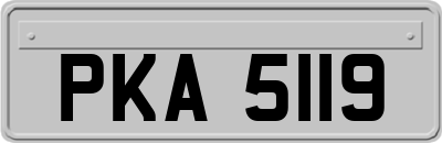 PKA5119