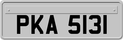 PKA5131