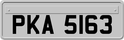 PKA5163