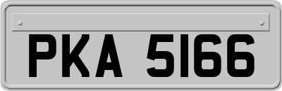 PKA5166