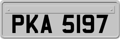 PKA5197