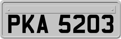 PKA5203