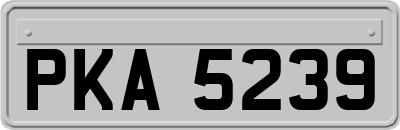 PKA5239