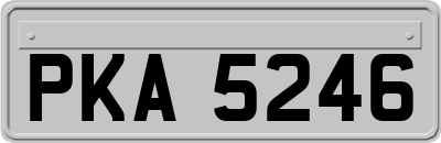PKA5246