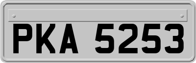 PKA5253