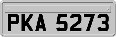 PKA5273