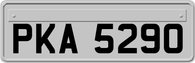 PKA5290