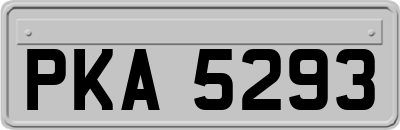 PKA5293