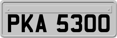 PKA5300