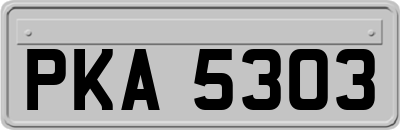 PKA5303