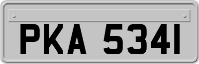 PKA5341
