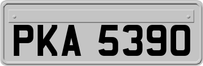 PKA5390