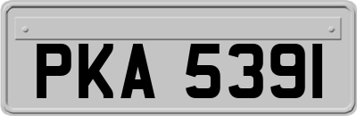 PKA5391