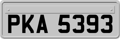 PKA5393