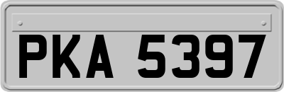 PKA5397