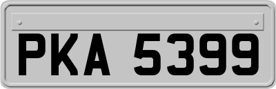 PKA5399